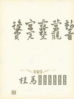 后宫露营动漫免费完整观看