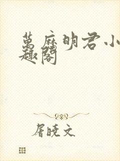 万历明君小说笔趣阁