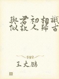 与君初相识,恰似故人归古诗封面