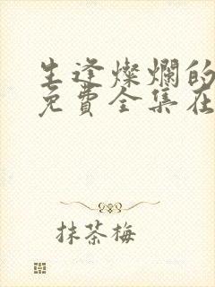 生逢灿烂的日子免费全集在线观看