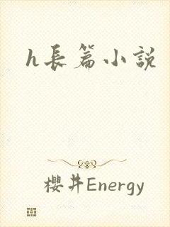 h长篇小说