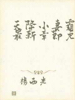 天降小妻霸道宠最新章节免费阅读