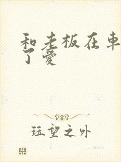 和老板在车里做了爱