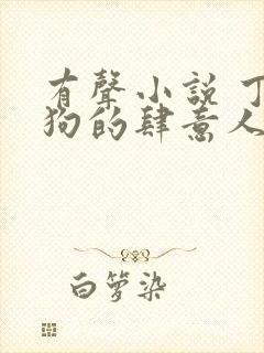 有声小说 丁二狗的肆意人生封面