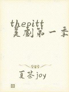 thepitt美剧第一季免费观看