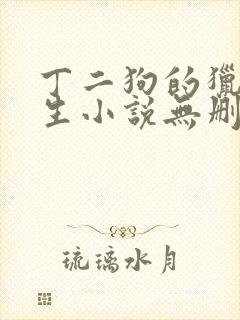 丁二狗的猎艳人生小说无删减下载