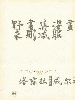 野画集漫画原著未删减版封面