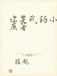 你是我的小确幸原著