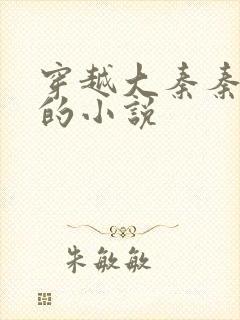 穿越大秦秦无道的小说