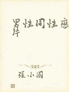 男性同性恋一级片