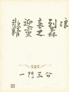 欢迎来到浪荡的精灵之森