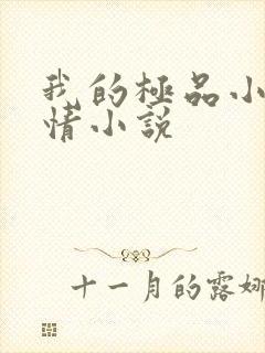 我的极品小姨言情小说