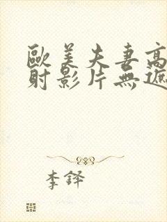 欧美夫妻高清内射影片无遮挡