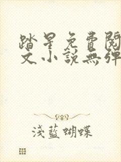 踏星免费阅读全文小说无弹窗封面