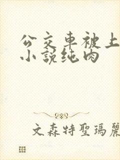 公交车被上高潮小说纯肉