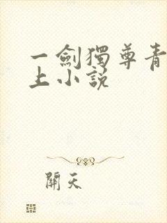 一剑独尊青鸾峰上小说