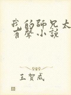 我的师兄太稳健有声小说