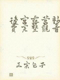 后宫露营动漫免费完整观看