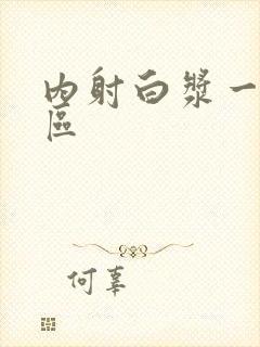 内射白浆一区二区封面