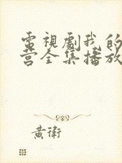 电视剧我的特一营全集播放