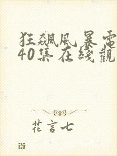 狂飙风暴电视剧40集在线观看免费