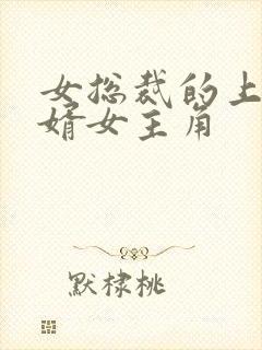 女总裁的上门女婿女主角封面