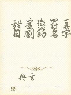 甜蜜惩罚真人版日剧的名字叫啥