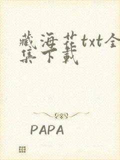 藏海花txt全集下载