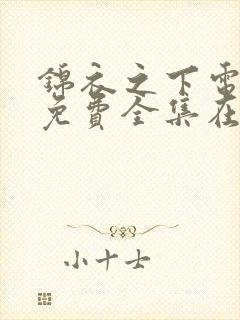 锦衣之下电视剧免费全集在线观看