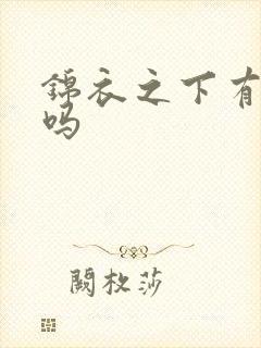 锦衣之下有番外吗