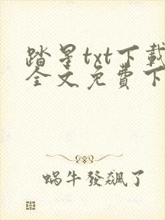 踏星txt下载全文免费下载封面