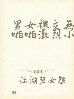 男女裸交无遮挡啪啪激烈小说