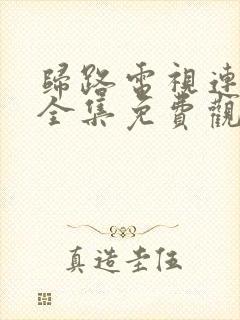 归路电视连续剧全集免费观看高清封面