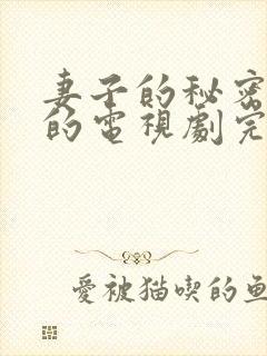 妻子的秘密免费的电视剧完整版高清封面