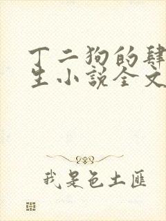 丁二狗的肆意人生小说全文阅读完整版下载