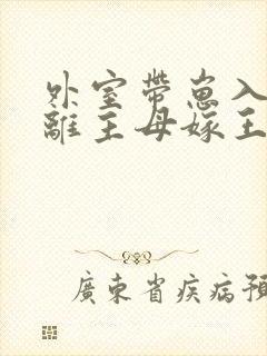 外室带崽入府和离主母嫁王爷