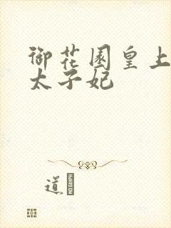 御花园皇上撞着太子妃