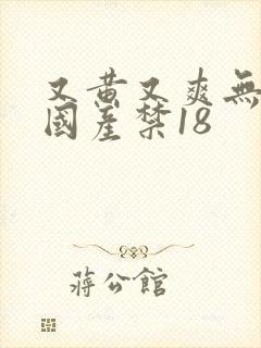 又黄又爽无遮挡国产禁18