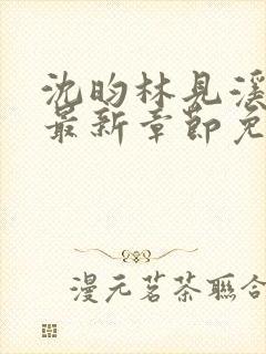 沈昀林见溪小说最新章节免费阅读封面