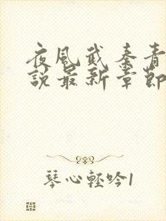 夜风武秦青寒小说最新章节