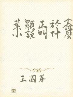 叶显正于鑫原著小说叫什么