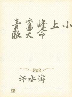 青鸾峰上小说无敌天命