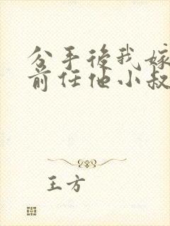 分手后我嫁给了前任他小叔