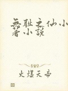 无耻之仙小说原著小说