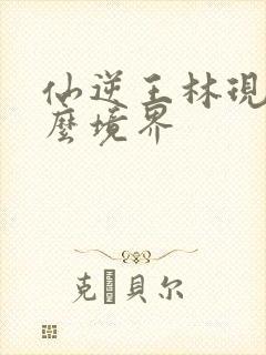 仙逆王林现在什么境界