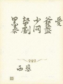 黑帮少爷爱上我泰剧网盘封面