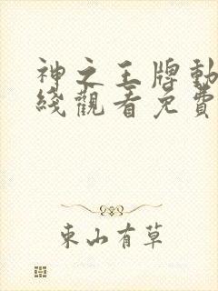 神之王牌动漫在线观看免费播放封面