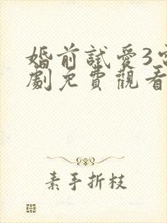 婚前试爱3电视剧免费观看全集