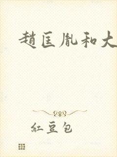 赵匡胤和大周后