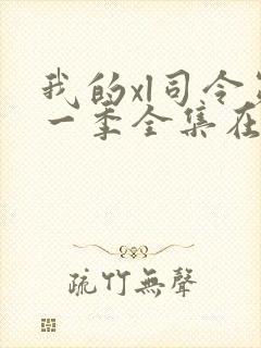 我的xl司令第一季全集在线观看动漫